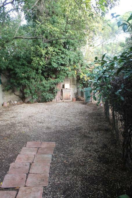 ローマLa Casa Di Ornellaアパートメント エクステリア 写真